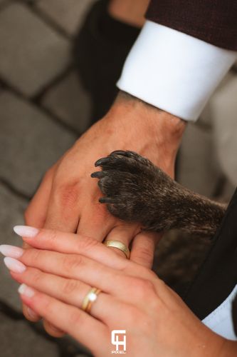 hochzeit-d-und-k-18.07.26-bychpixel-167-2